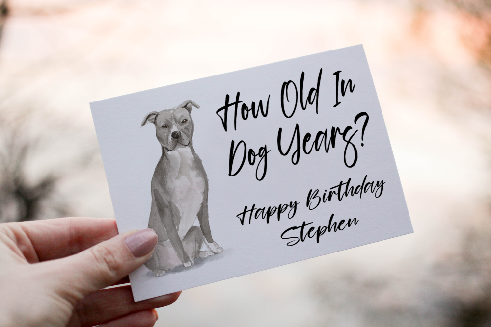 American Staffordshire Terrier Birthday Card, Dog Birthday Card - Click Image to Close